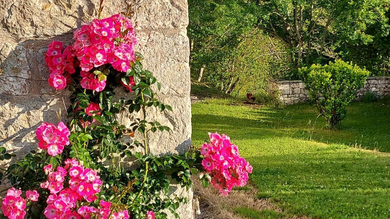 Manoir Le Moulinal47 - Vue Panoramique Hotel Courbiac ภายนอก รูปภาพ